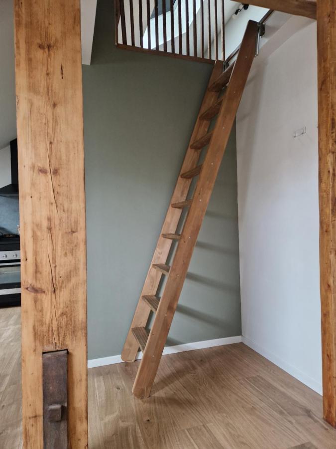 Les Appartements De Romain Et Julien 第戎 外观 照片