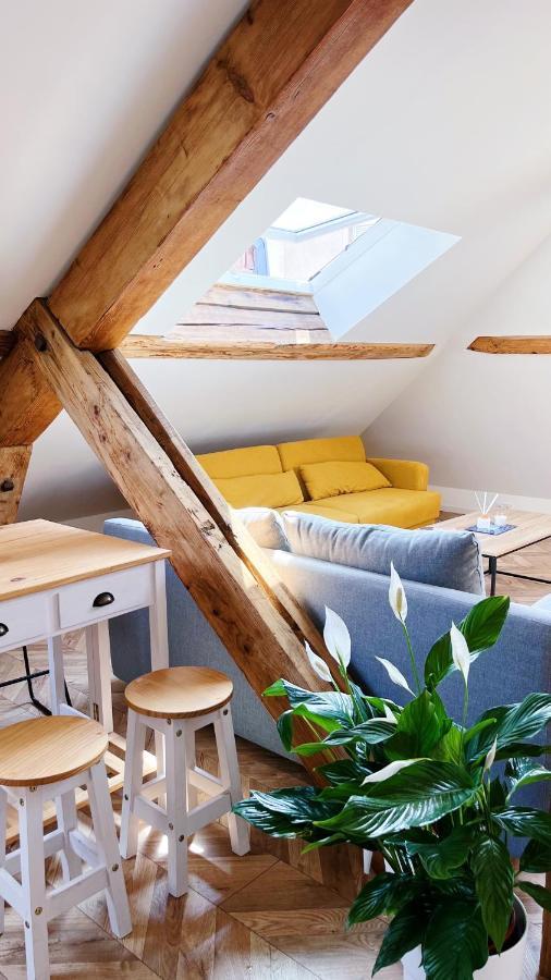 Les Appartements De Romain Et Julien 第戎 外观 照片
