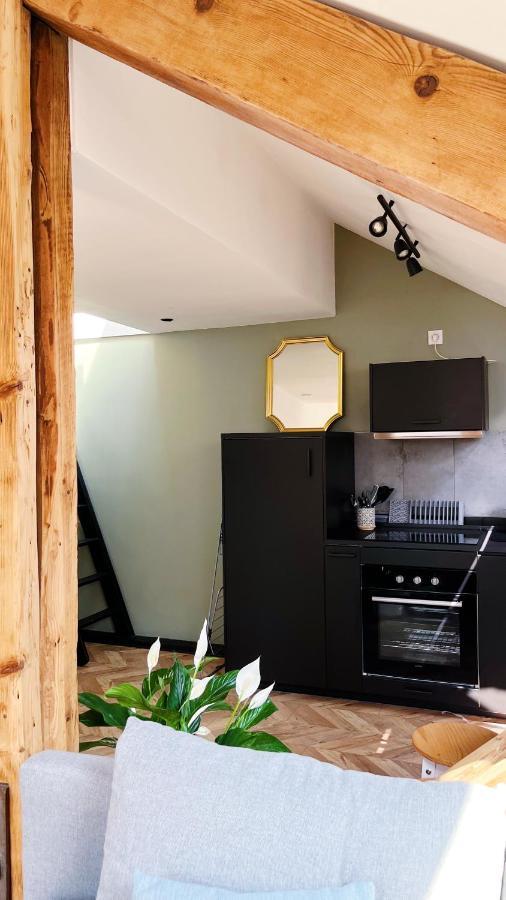 Les Appartements De Romain Et Julien 第戎 外观 照片