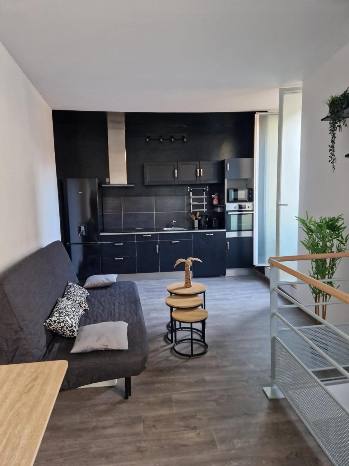 Les Appartements De Romain Et Julien 第戎 外观 照片