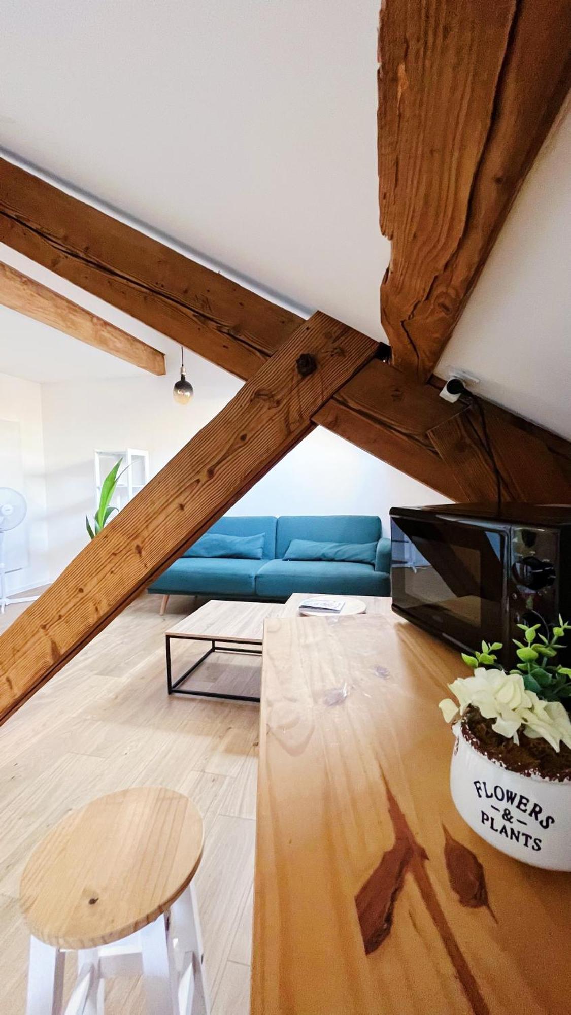 Les Appartements De Romain Et Julien 第戎 外观 照片