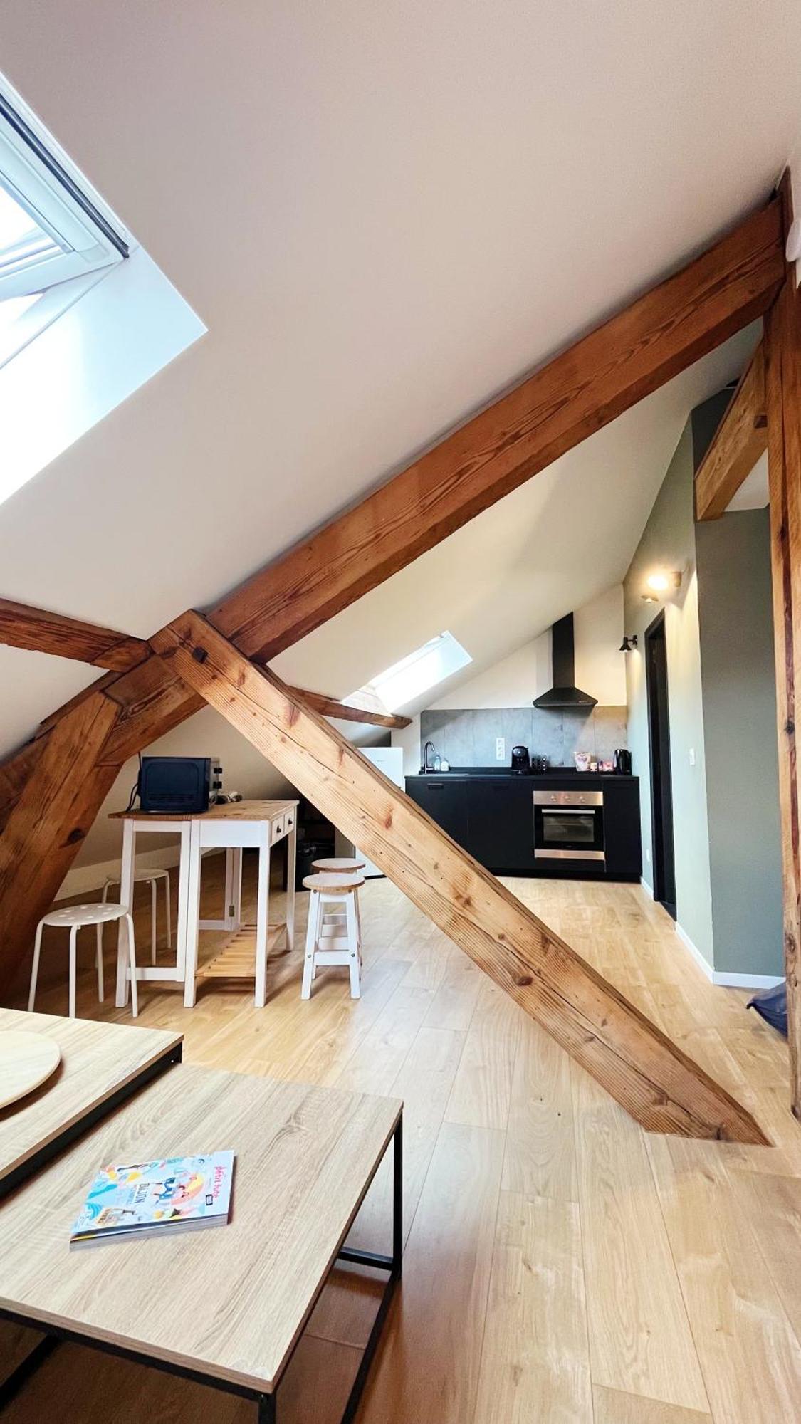 Les Appartements De Romain Et Julien 第戎 外观 照片